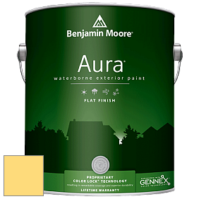 Benjamin Moore Aura 629 Waterborne Exterior Flat Finish краска цвет 361 No-Nonsense
