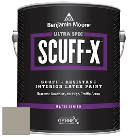 Benjamin Moore 484 Ultra Spec SCUFF-X Interior Matte Finish краска цвет 1552 River Reflections