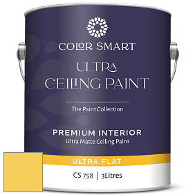 COLOR SMART CS 758 ULTRA CEILING PAINT ультраматовая краска цвет 362 St. Elmo's Fire