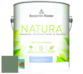 Benjamin Moore 513 Natura Interior Eggshell Finish краска с блеском цвет 629 Weeping Willow