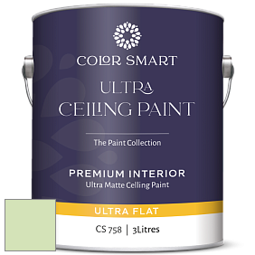 COLOR SMART CS 758 ULTRA CEILING PAINT ультраматовая краска цвет 555 O'Reilly Green