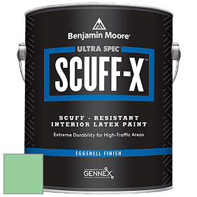Benjamin Moore 485 Ultra Spec SCUFF-X Interior Eggshell Finish краска цвет NCS S 1040-G10Y 