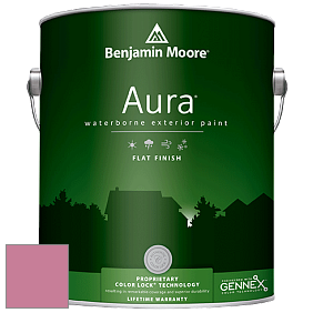 Benjamin Moore Aura 629 Waterborne Exterior Flat Finish краска цвет 2084-40 Precious Pink