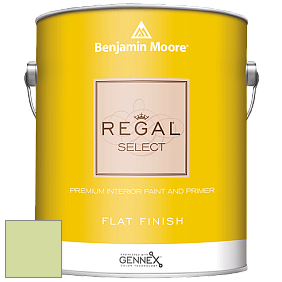 Benjamin Moore 547 Regal Select Waterborne Interior Flat Finish краска цвет 2029-50 Potpourri Green
