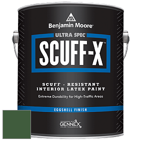 Benjamin Moore 485 Ultra Spec SCUFF-X Interior Eggshell Finish краска цвет NCS S 5540-G20Y 