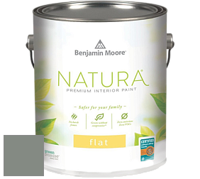 Benjamin Moore 512 Natura Interior Flat Finish матовая краска цвет 1580 Intrigue