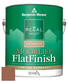 Benjamin Moore W105 Regal Select Exterior Paint-MoorLife Flat Finish краска цвет 1218 Copper Kettle