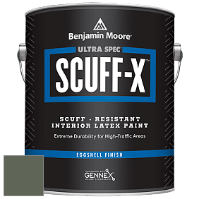 Benjamin Moore 485 Ultra Spec SCUFF-X Interior Eggshell Finish краска цвет AF-480 