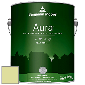 Benjamin Moore Aura 629 Waterborne Exterior Flat Finish краска цвет 2028-50 Wales Green