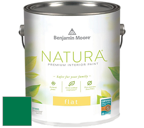 Benjamin Moore 512 Natura Interior Flat Finish матовая краска цвет NCS S 3560-G 