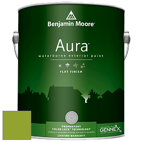 Benjamin Moore Aura 629 Waterborne Exterior Flat Finish краска цвет 2028-20 Douglas Fir