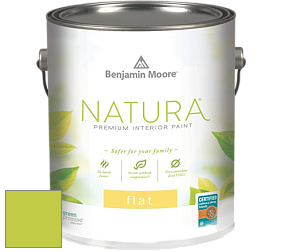 Benjamin Moore 512 Natura Interior Flat Finish матовая краска цвет NCS S 0565-G50Y 