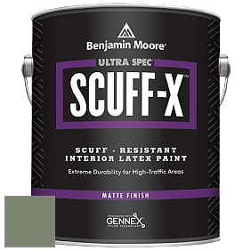 Benjamin Moore 484 Ultra Spec SCUFF-X Interior Matte Finish краска цвет 454 Cedar Path