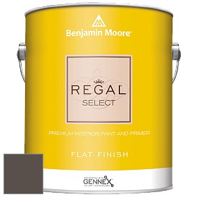 Benjamin Moore 547 Regal Select Waterborne Interior Flat Finish краска цвет 2112-20 Brown Sugar