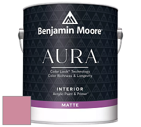 Benjamin Moore Aura 522 Interior Paint - Matte краска цвет 2081-40 Pink Blossom