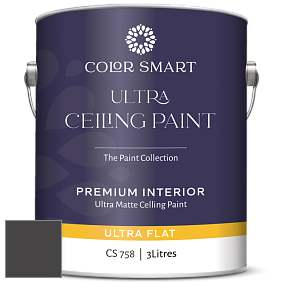 COLOR SMART CS 758 ULTRA CEILING PAINT ультраматовая краска цвет 2128-10 Black Beauty