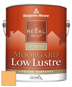 Benjamin Moore W103 Regal Select Exterior Paint-MoorGard Low Lustre Finish краска цвет 2017-40 Sweet Orange