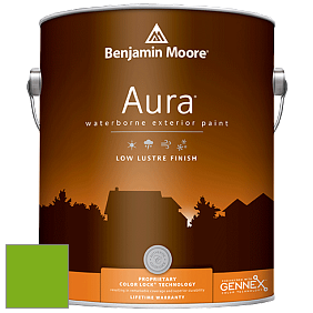Benjamin Moore Aura 634 Waterborne Exterior Low Lustre Finish краска цвет 2031-20 Paradise Green