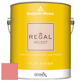 Benjamin Moore 547 Regal Select Waterborne Interior Flat Finish краска цвет NCS S 1050-Y90R 