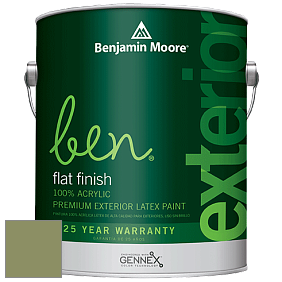 Benjamin Moore Ben 541 Waterborne Exterior Flat Finish краска цвет 433 Forest Hills Green