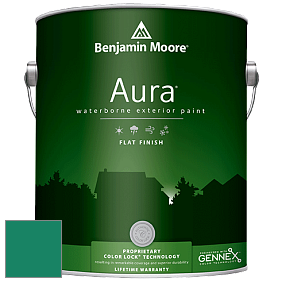 Benjamin Moore Aura 629 Waterborne Exterior Flat Finish краска цвет 2046-20 Garden Green