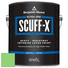 Benjamin Moore 485 Ultra Spec SCUFF-X Interior Eggshell Finish краска цвет NCS S 0560-G20Y 