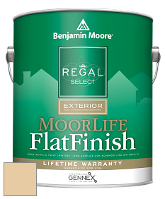 Benjamin Moore W105 Regal Select Exterior Paint-MoorLife Flat Finish краска цвет AF-335 