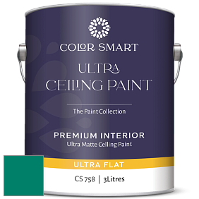 COLOR SMART CS 758 ULTRA CEILING PAINT ультраматовая краска цвет NCS S 3555-B80G 