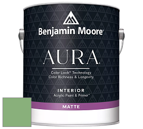 Benjamin Moore Aura 522 Interior Paint - Matte краска цвет 2034-40 Cedar Green