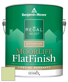 Benjamin Moore W105 Regal Select Exterior Paint-MoorLife Flat Finish краска цвет 2029-50 Potpourri Green
