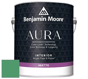 Benjamin Moore Aura 522 Interior Paint - Matte краска цвет 2038-30 Prairie Green