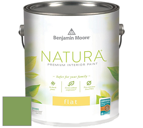 Benjamin Moore 512 Natura Interior Flat Finish матовая краска цвет 552 Pleasant Grove