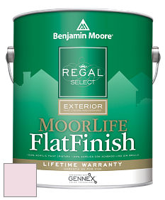 Benjamin Moore W105 Regal Select Exterior Paint-MoorLife Flat Finish краска цвет 2080-70 Aztec Lily