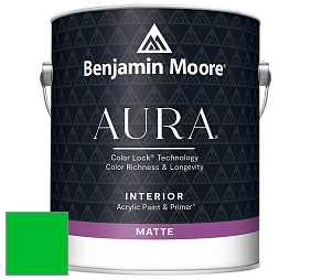 Benjamin Moore Aura 522 Interior Paint - Matte краска цвет RAL 6038 