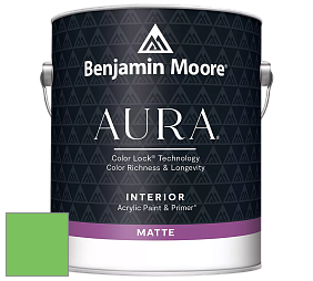 Benjamin Moore Aura 522 Interior Paint - Matte краска цвет NCS S 0570-G20Y 