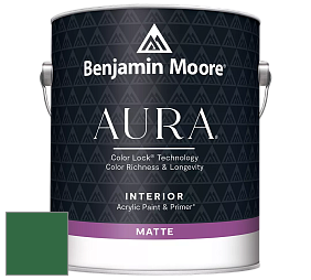 Benjamin Moore Aura 522 Interior Paint - Matte краска цвет NCS S 4550-G10Y 