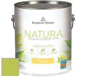 Benjamin Moore 512 Natura Interior Flat Finish матовая краска цвет NCS S 1060-G50Y 
