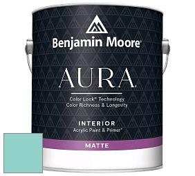 Benjamin Moore Aura 522 Interior Paint - Matte краска цвет NCS S 1030-B50G 