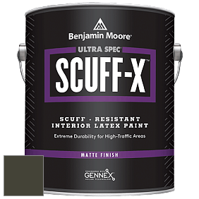 Benjamin Moore 484 Ultra Spec SCUFF-X Interior Matte Finish краска цвет RAL 6014 