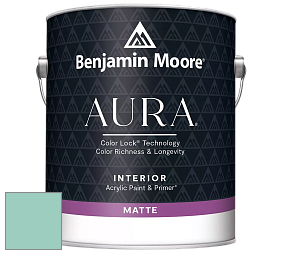 Benjamin Moore Aura 522 Interior Paint - Matte краска цвет 647 Fun 'n Games