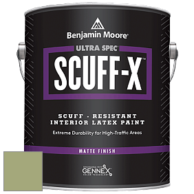 Benjamin Moore 484 Ultra Spec SCUFF-X Interior Matte Finish краска цвет 432 Grenada Green