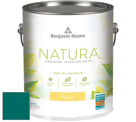 Benjamin Moore 512 Natura Interior Flat Finish матовая краска цвет NCS S 4550-B50G 