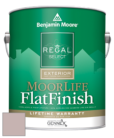 Benjamin Moore W105 Regal Select Exterior Paint-MoorLife Flat Finish краска цвет AF-610 