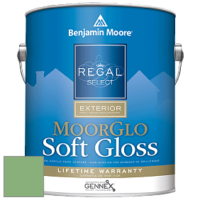 Benjamin Moore W096 Regal Select Exterior Paint-Moor GloSoft Gloss Finish краска цвет 2034-40 Cedar Green