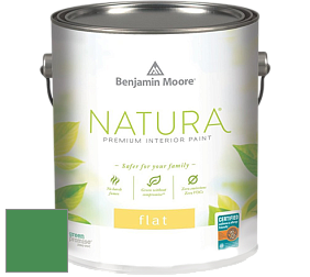 Benjamin Moore 512 Natura Interior Flat Finish матовая краска цвет 574 Once Upon a Time