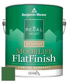 Benjamin Moore W105 Regal Select Exterior Paint-MoorLife Flat Finish краска цвет 2035-10 Seaweed