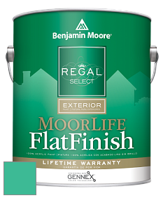 Benjamin Moore W105 Regal Select Exterior Paint-MoorLife Flat Finish краска цвет 615 Mayan Green