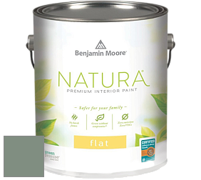 Benjamin Moore 512 Natura Interior Flat Finish матовая краска цвет 699 Garden Oasis