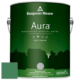 Benjamin Moore Aura 629 Waterborne Exterior Flat Finish краска цвет 2038-20 Irish Clover
