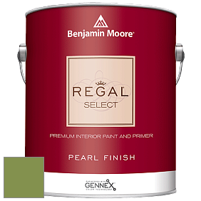 Benjamin Moore 550 Regal Select Waterborne Interior Pearl Finish краска цвет NCS S 3050-G40Y 